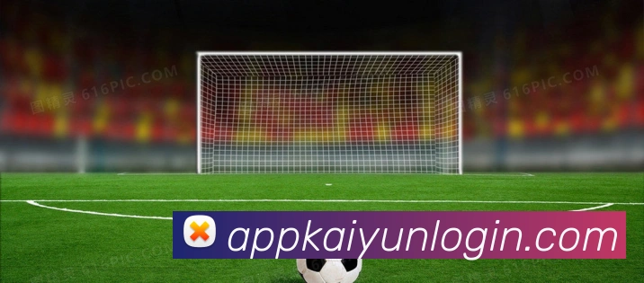 开云平台展示图