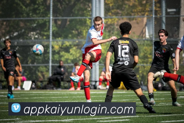 开云APP官方下载指南及安全安装使用全流程详解教程